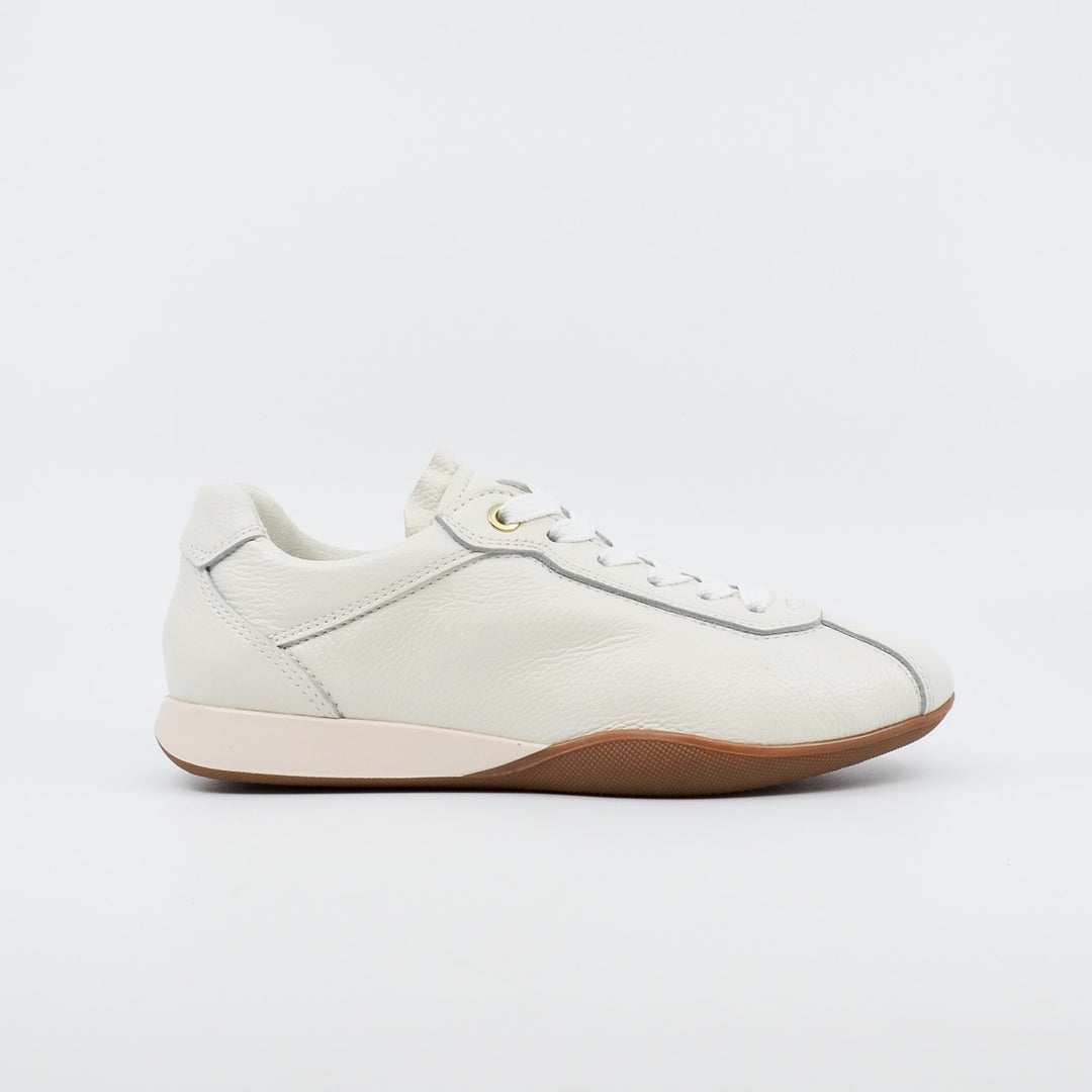 Ara Amalfi 52504 eggwhite