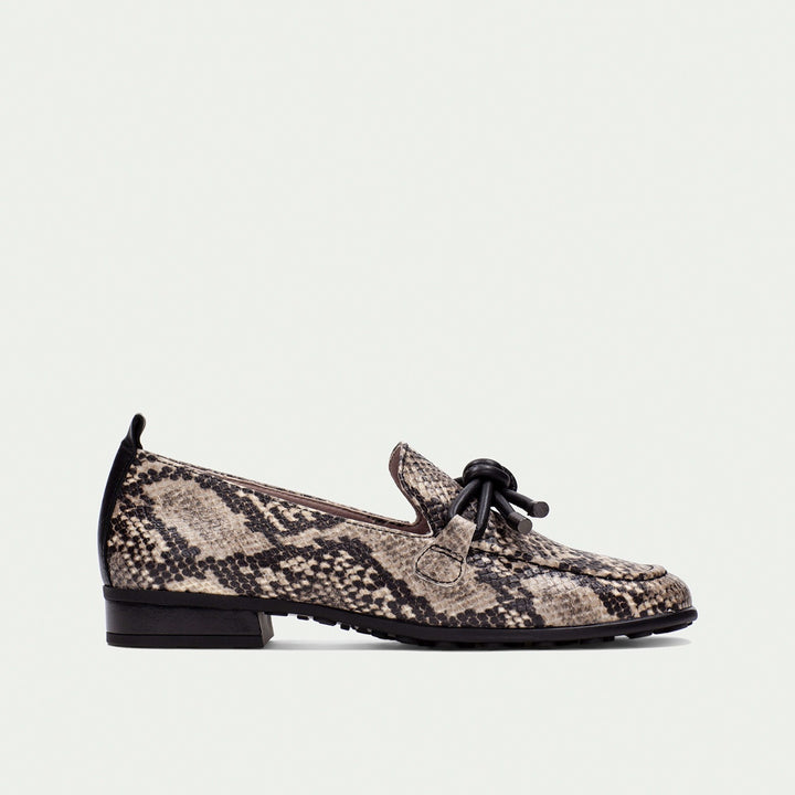 Hispanitas Genova anaconda