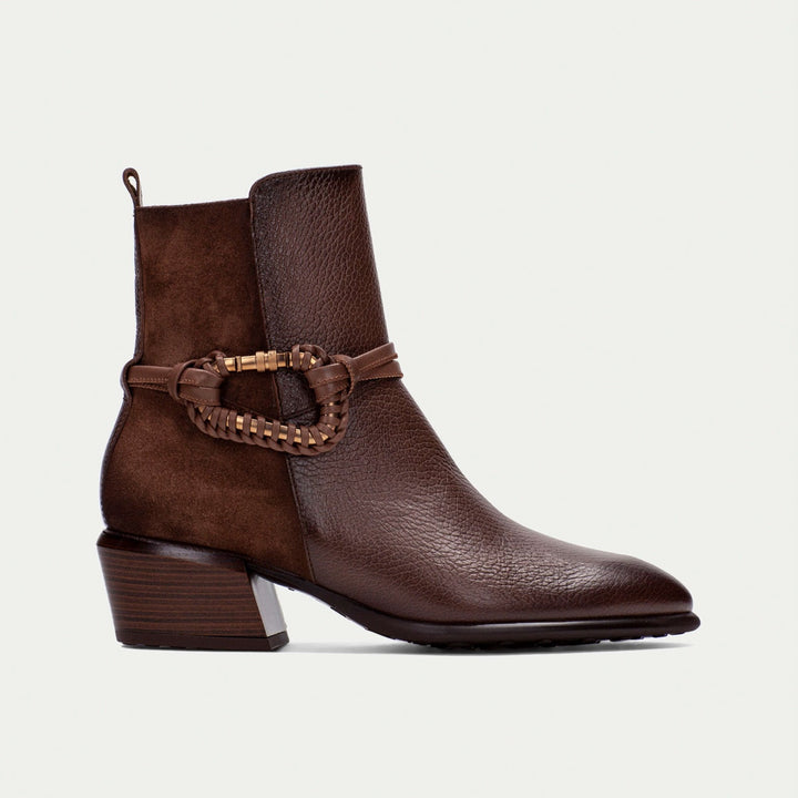 Hispanitas Verona avellana