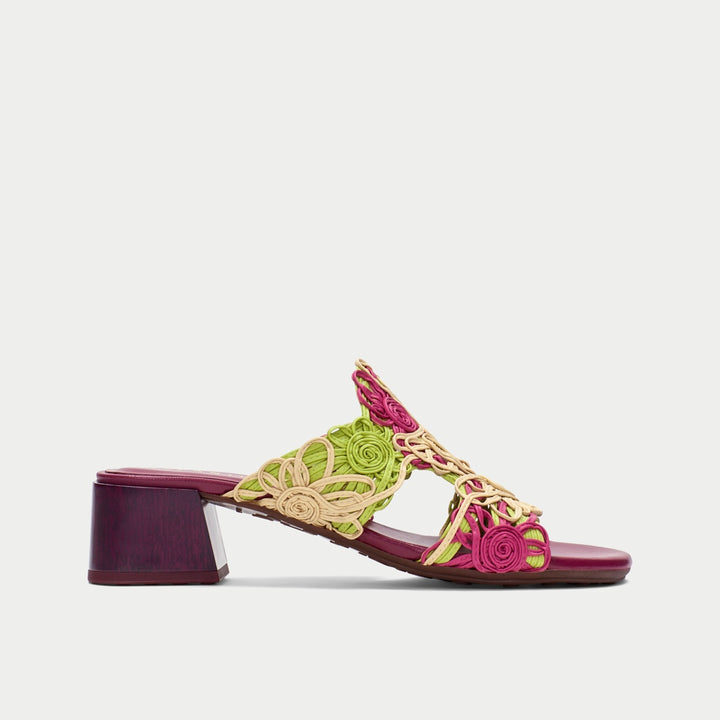 Hispanitas Tulipan garden brights