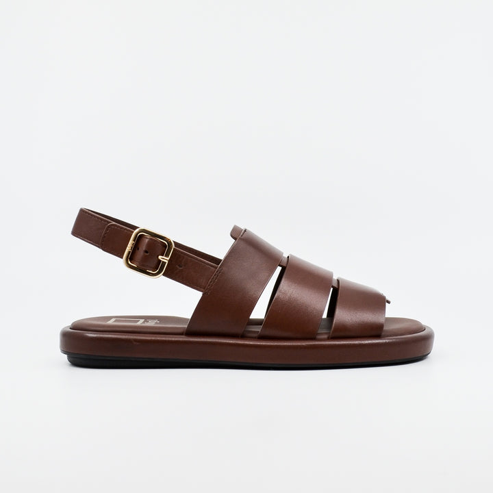 Hogl 0213 marrone