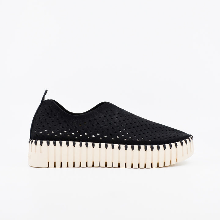 Ilse Jacobsen Tulip 3373 black