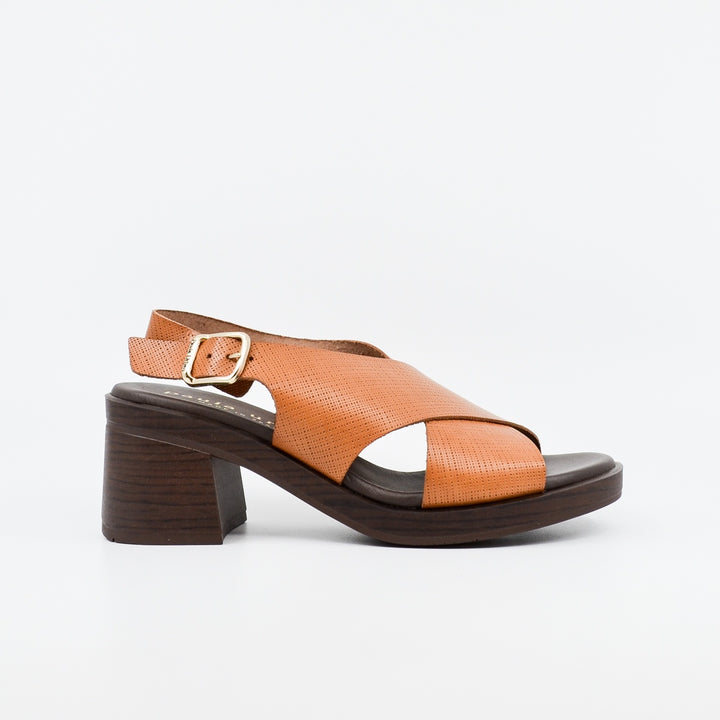 Paula Urban Pine avellana