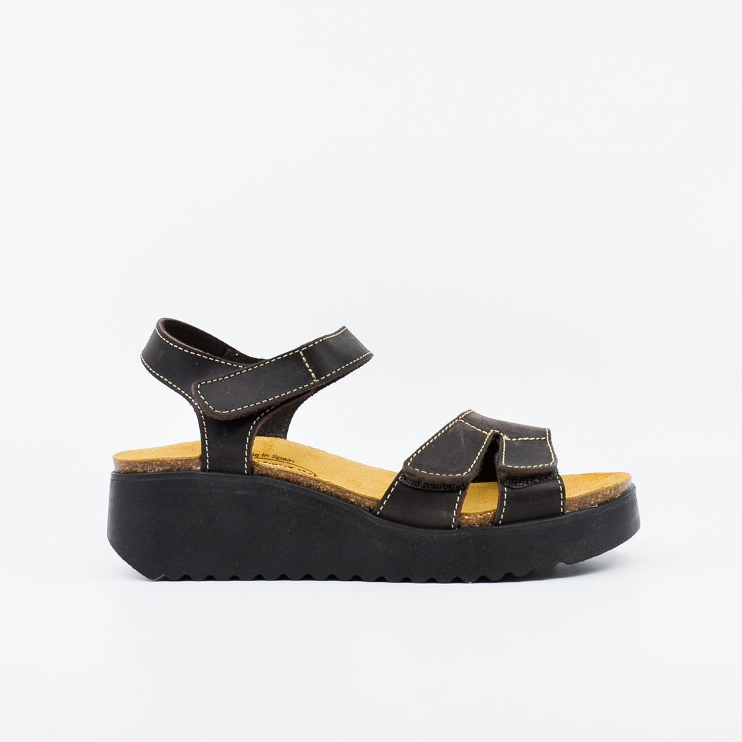 Plakton 336443 dark brown