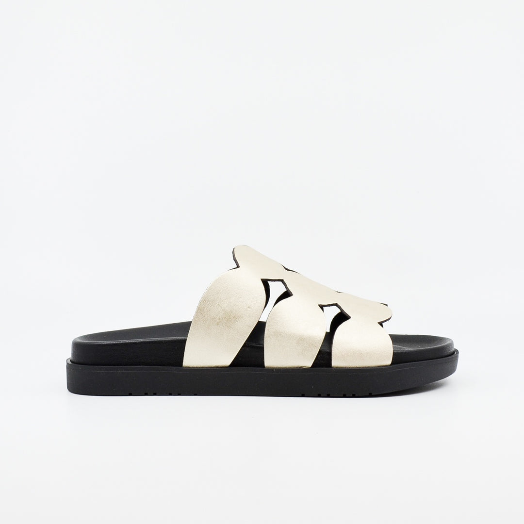 Wikers Terrigal platino