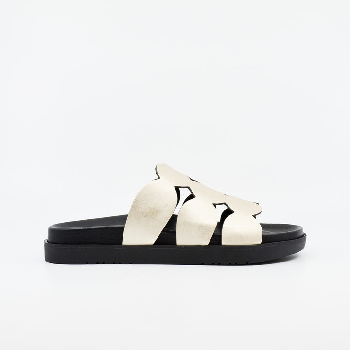 Wikers Terrigal platino