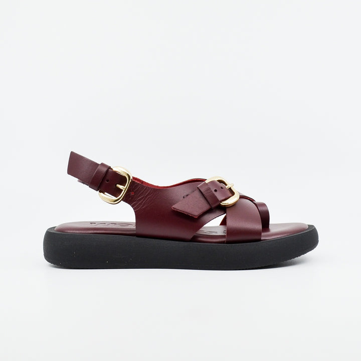 Wonders AB-1332 vino
