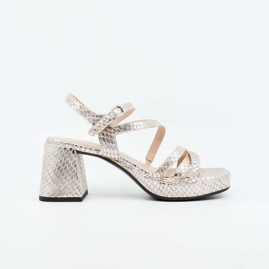 Wonders G-6821 silver croc