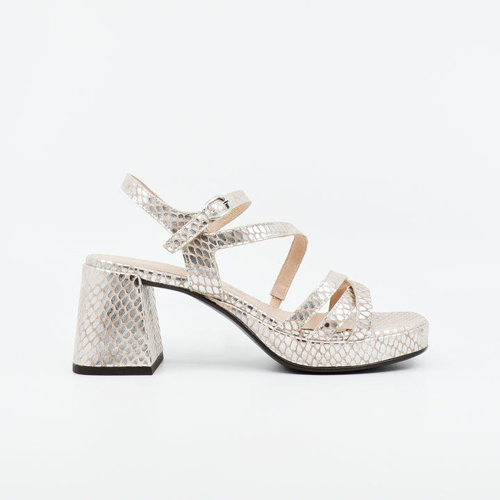 Wonders G-6821 silver croc