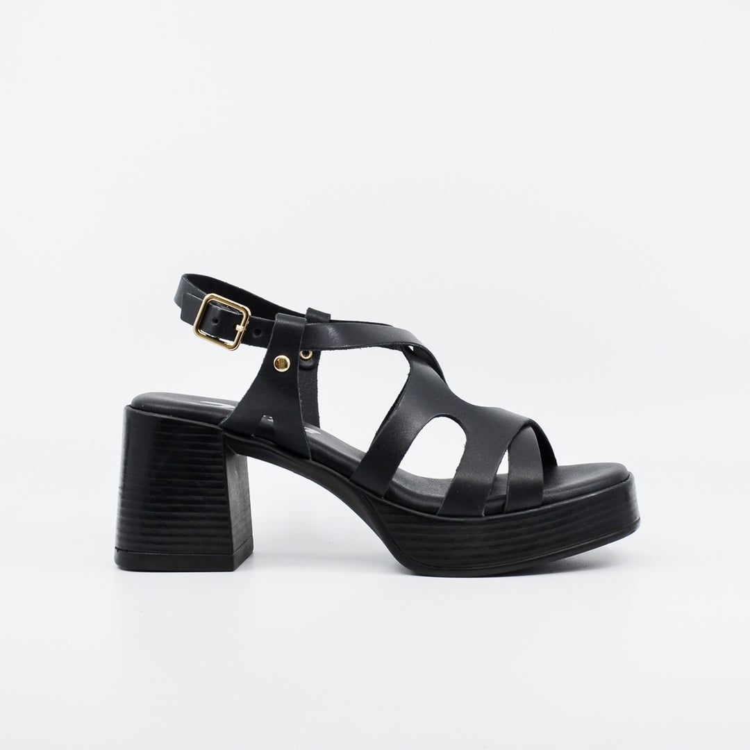 Zeta Wink black