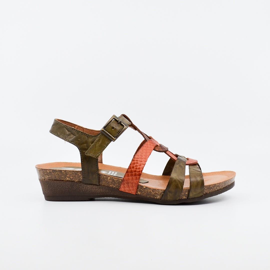 Zeta Optics kaki & coral