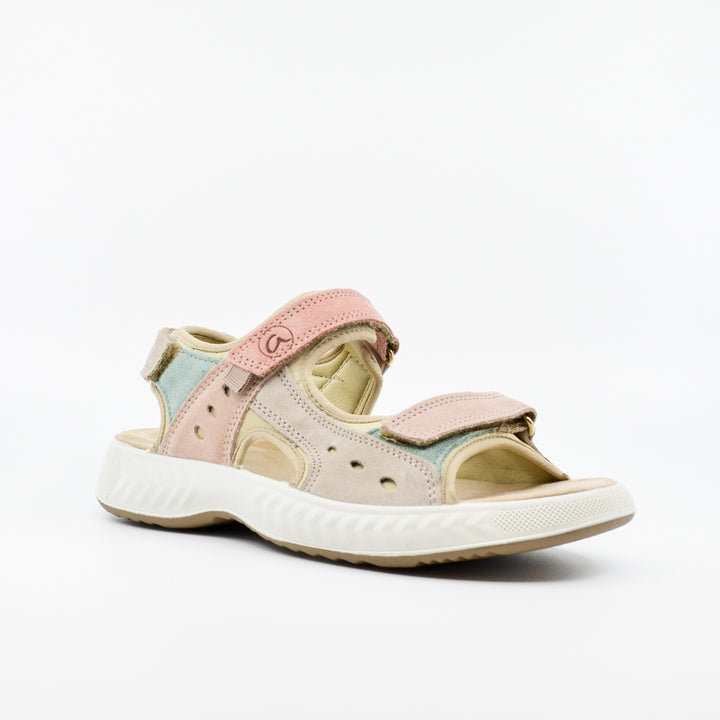 Ara 13507 pastel