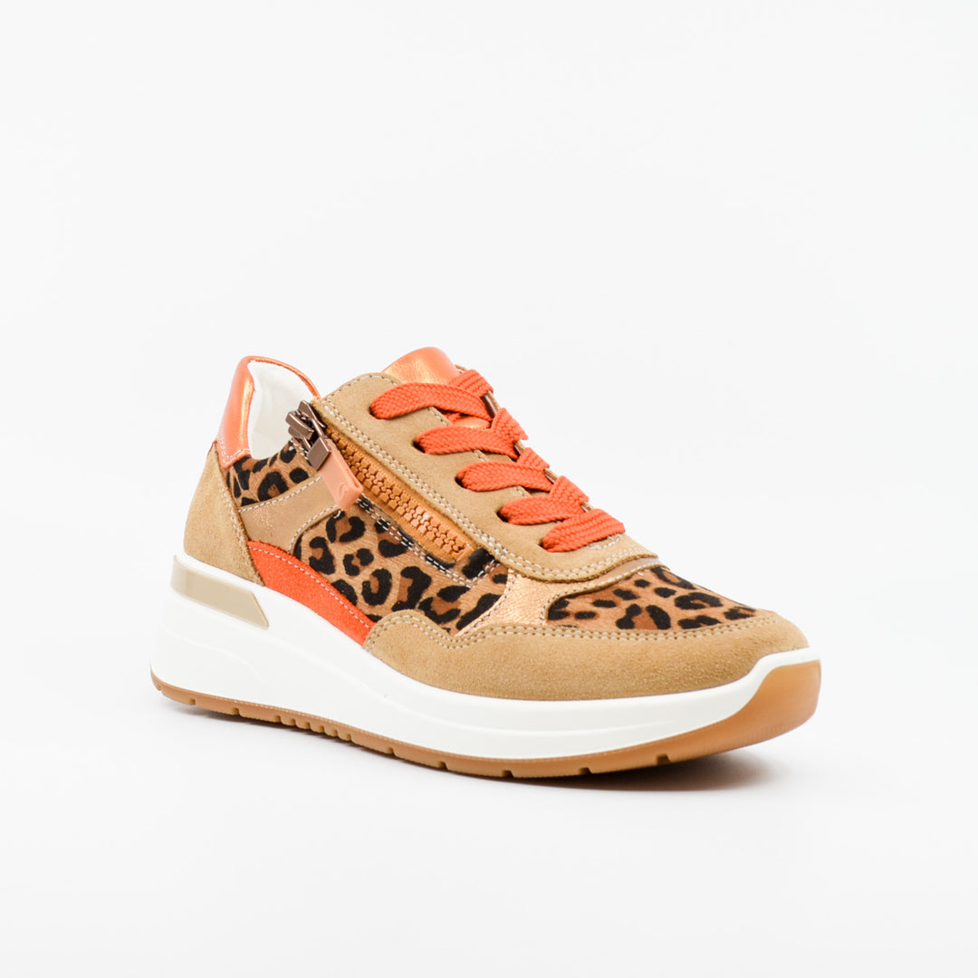 Ara 57702 leopard