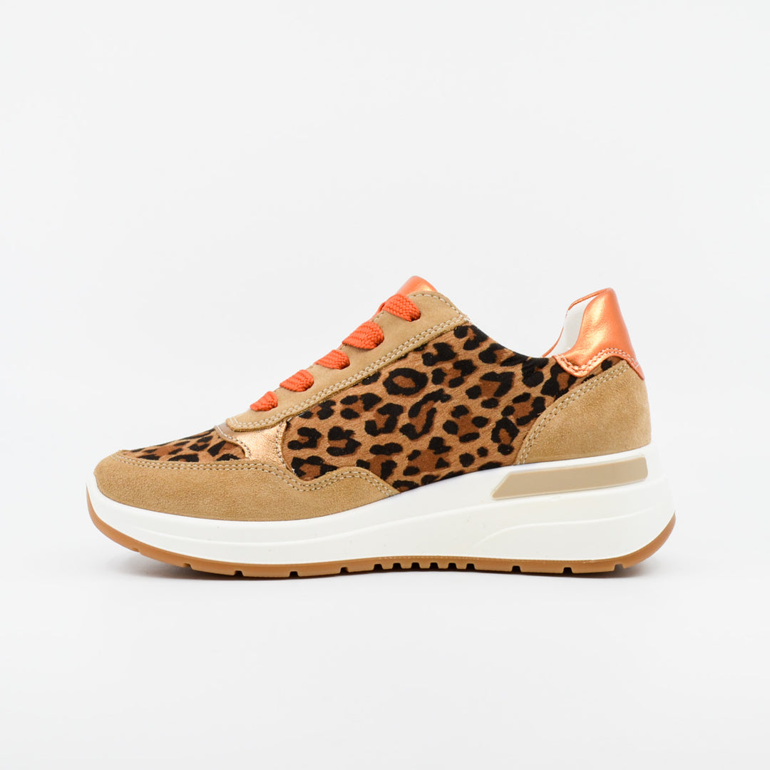 Ara 57702 leopard