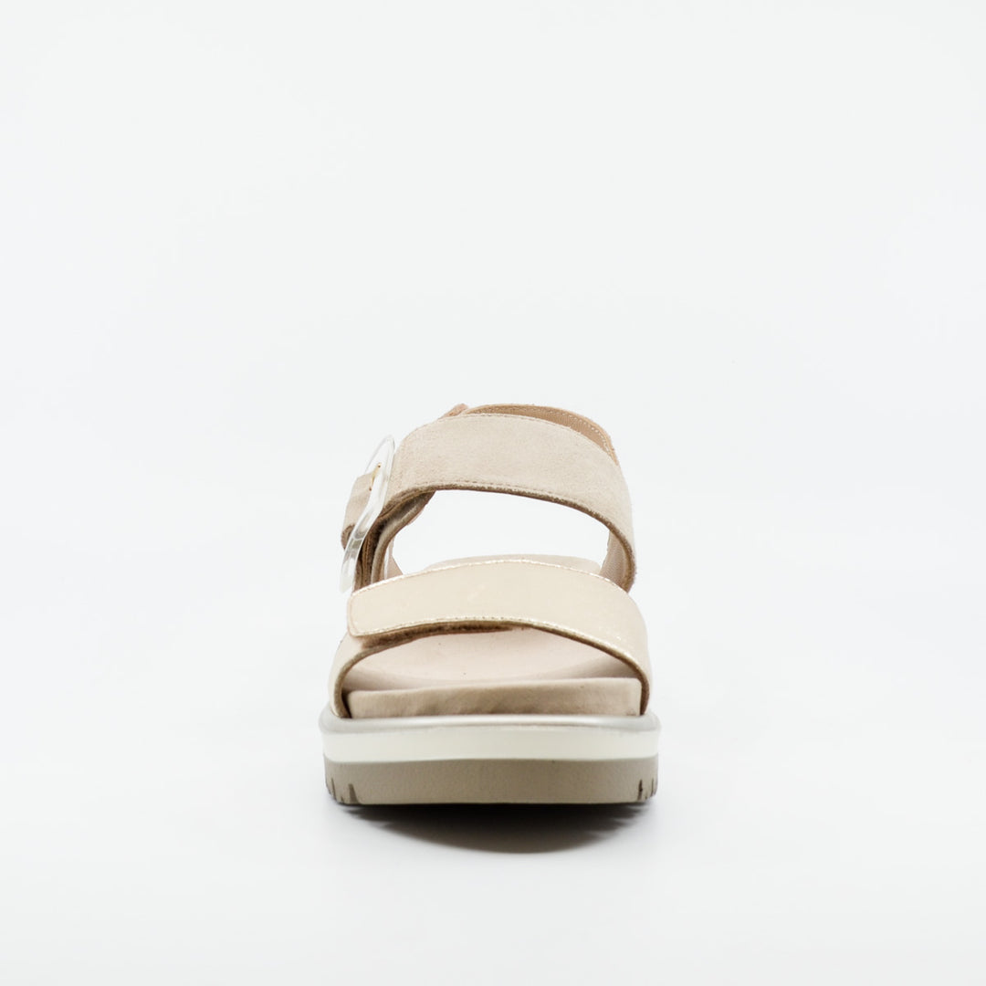 Ara 21003 platino & sand