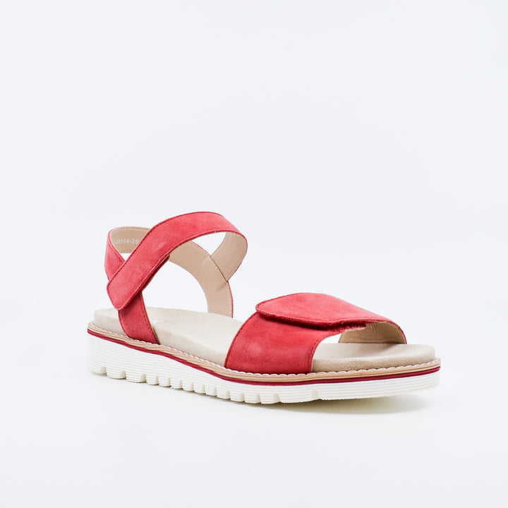 Ara Kent 28114 strawberry