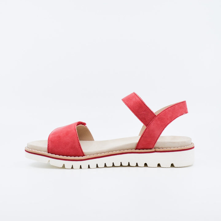 Ara Kent 28114 strawberry
