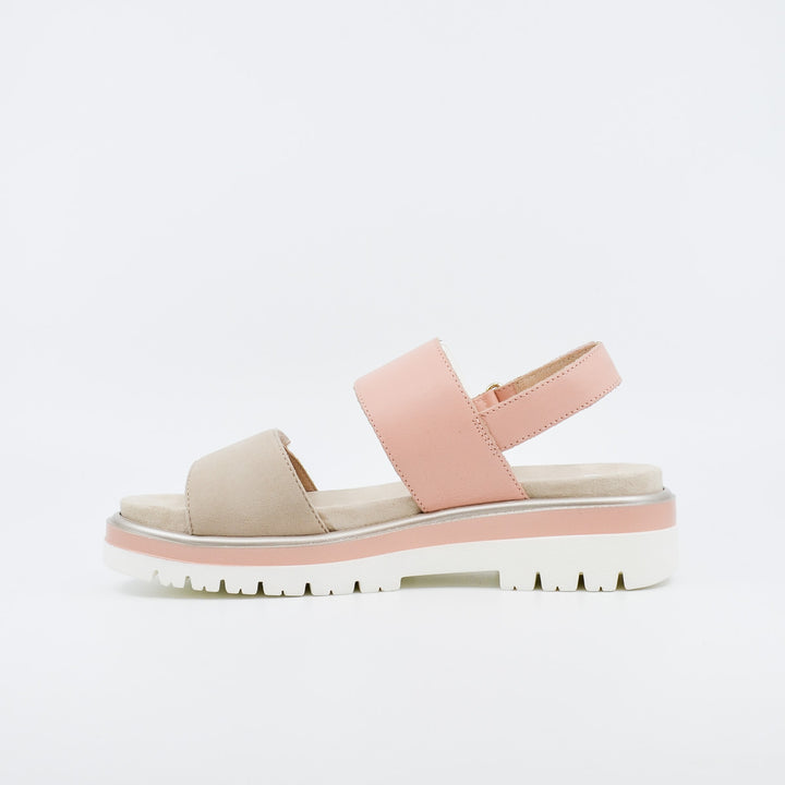 Ara Malaga 21003 shell & apricot