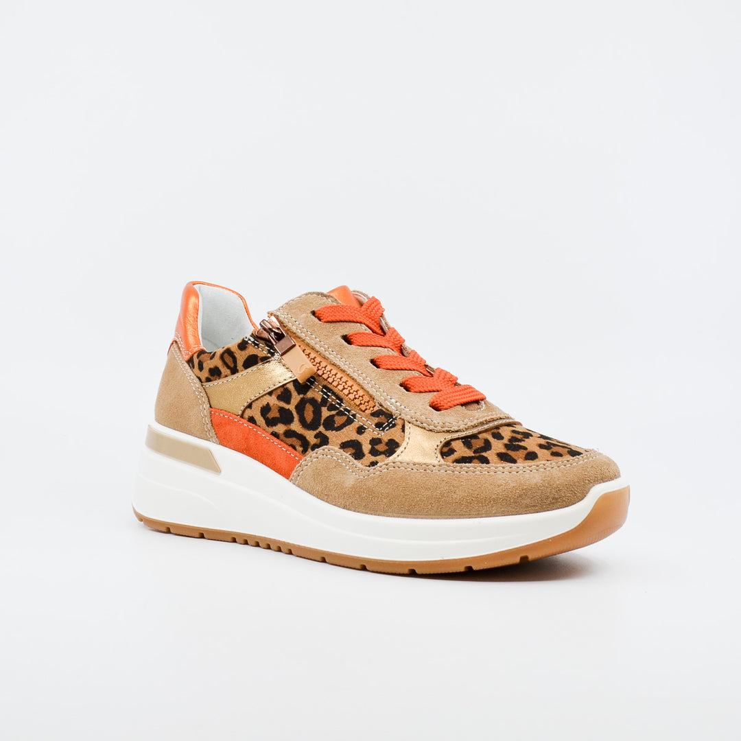Ara Garda 57702 leopard