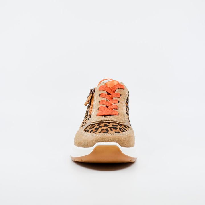 Ara Garda 57702 leopard