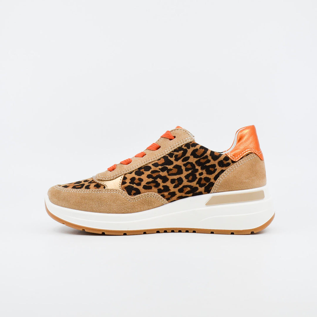 Ara Garda 57702 leopard