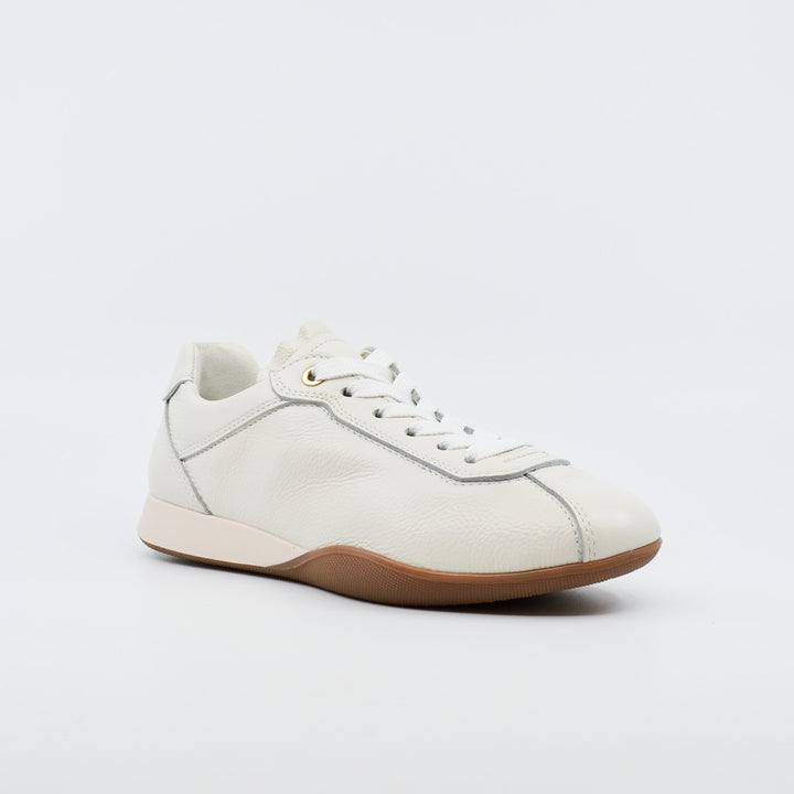 Ara Amalfi 52504 eggwhite