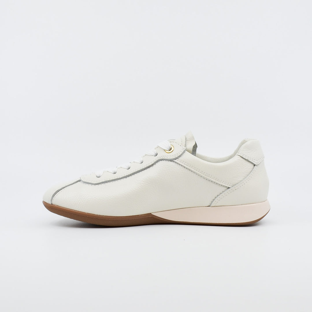 Ara Amalfi 52504 eggwhite