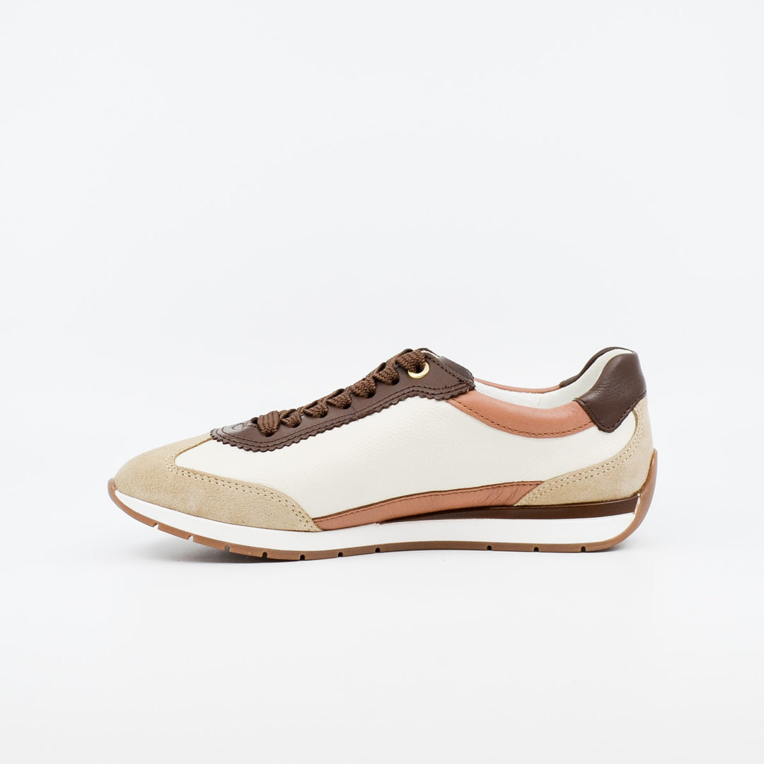 Ara Portofino 50902 beach & crème