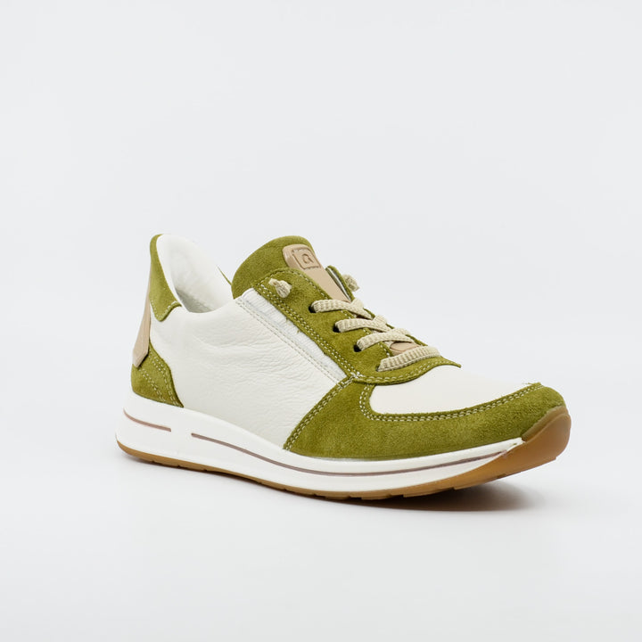 Ara 24836 olive & white