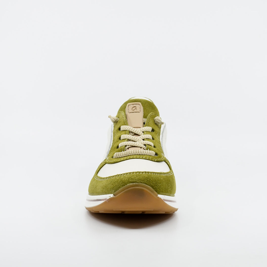 Ara 24836 olive & white