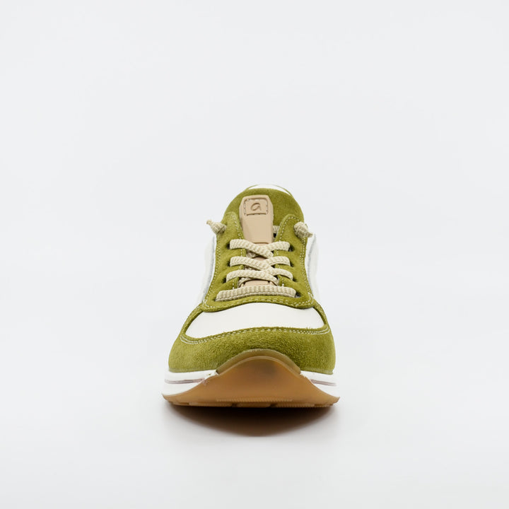 Ara 24836 olive & white