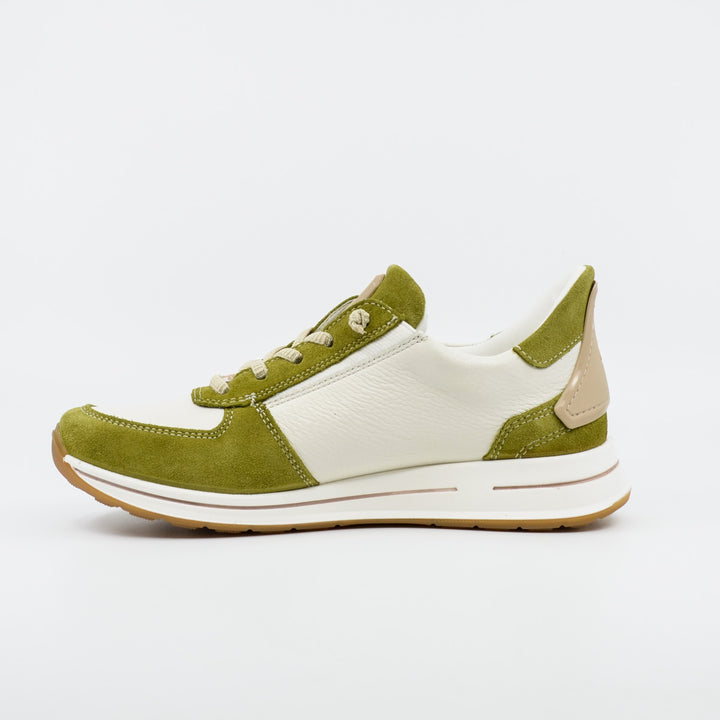 Ara 24836 olive & white
