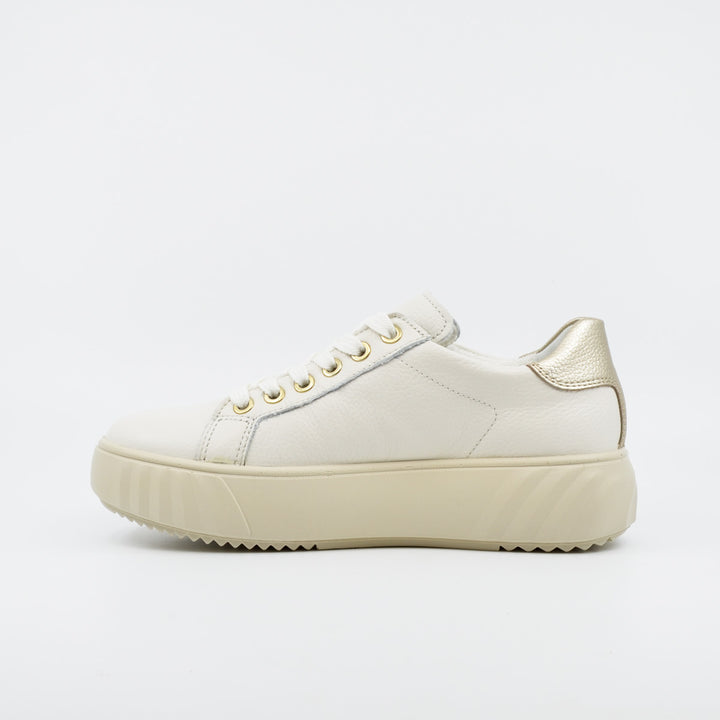 Ara 46523 cream