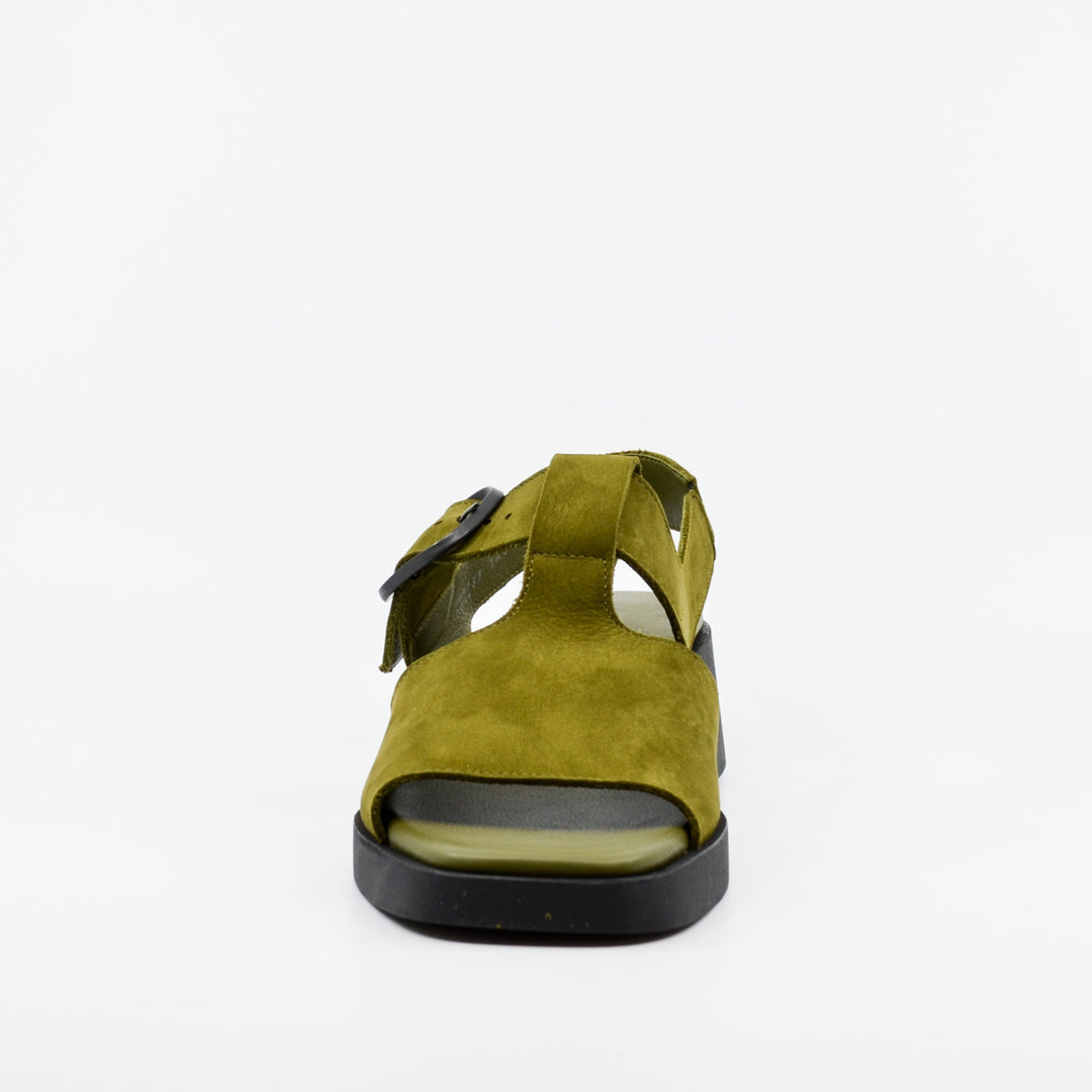 Arche Taynea matcha