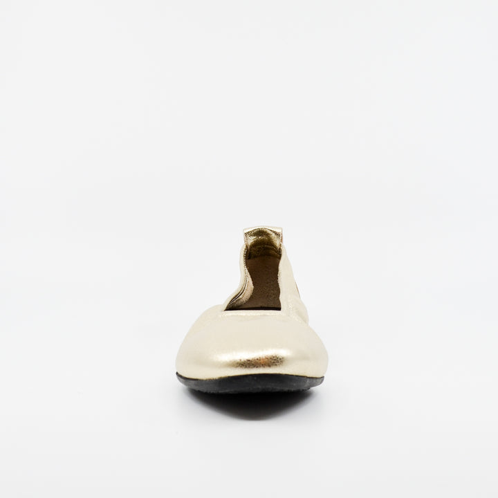 Arche Laius champagne