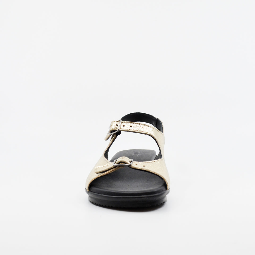 Arche Aurmea champagne