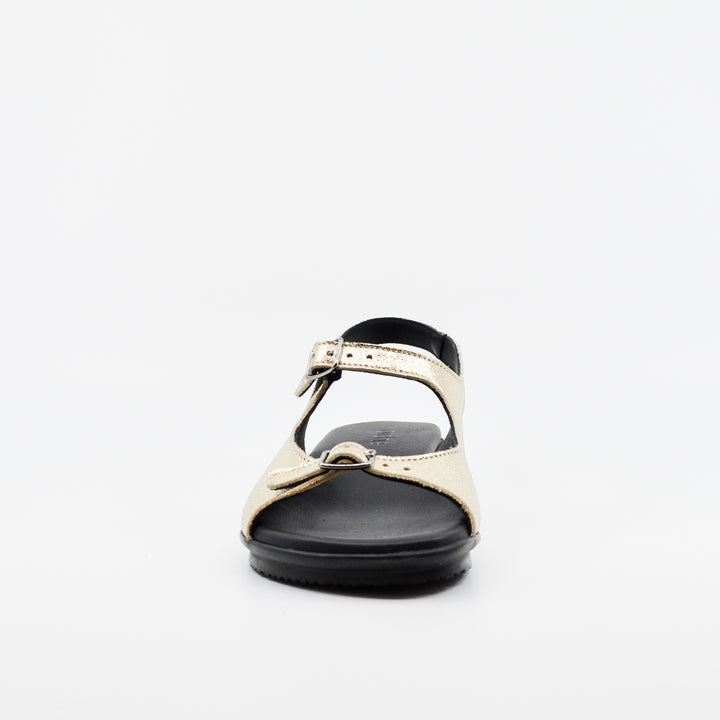 Arche Aurmea champagne