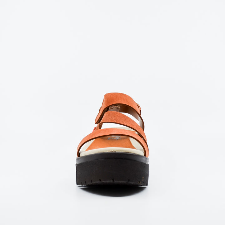 Art Brighton 1573 orange