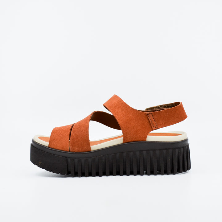 Art Brighton 1573 orange