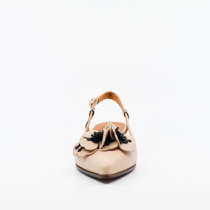 Chie Mihara Hazel cream