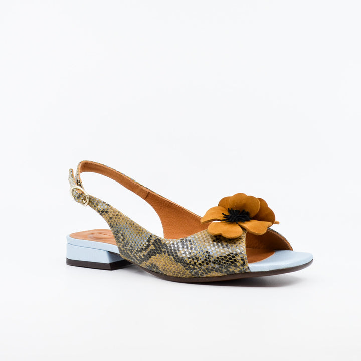 Chie Mihara Tayda snake