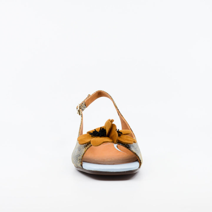 Chie Mihara Tayda snake