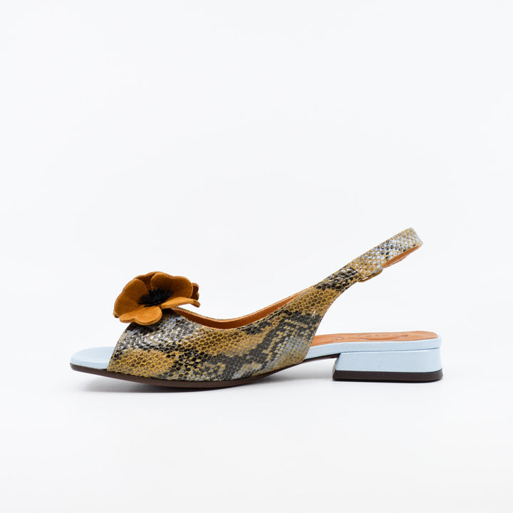 Chie Mihara Tayda snake