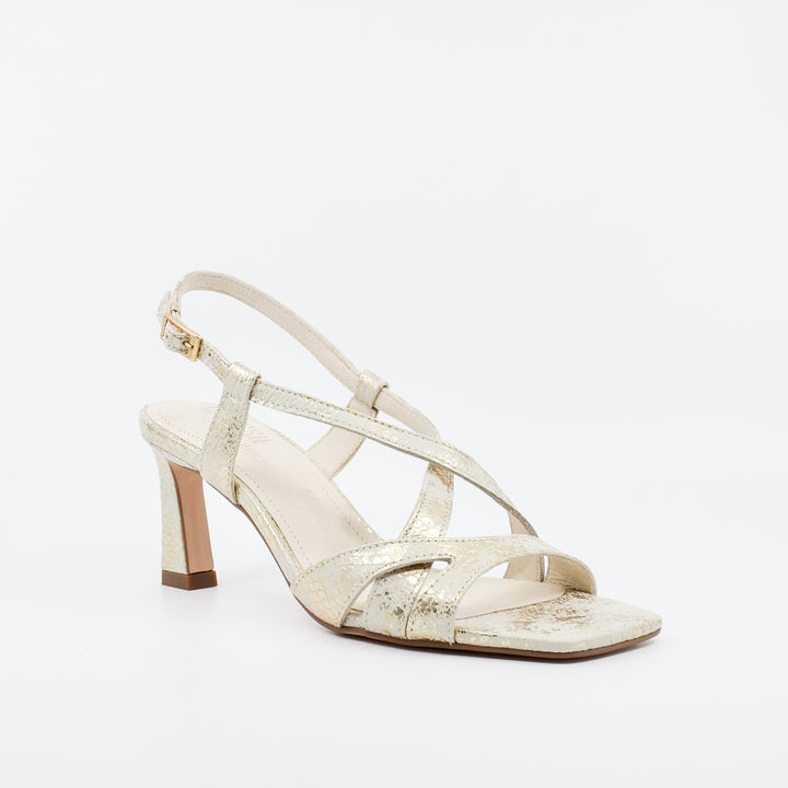 Chrissie Brady bone gold