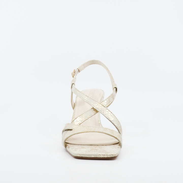 Chrissie Brady bone gold