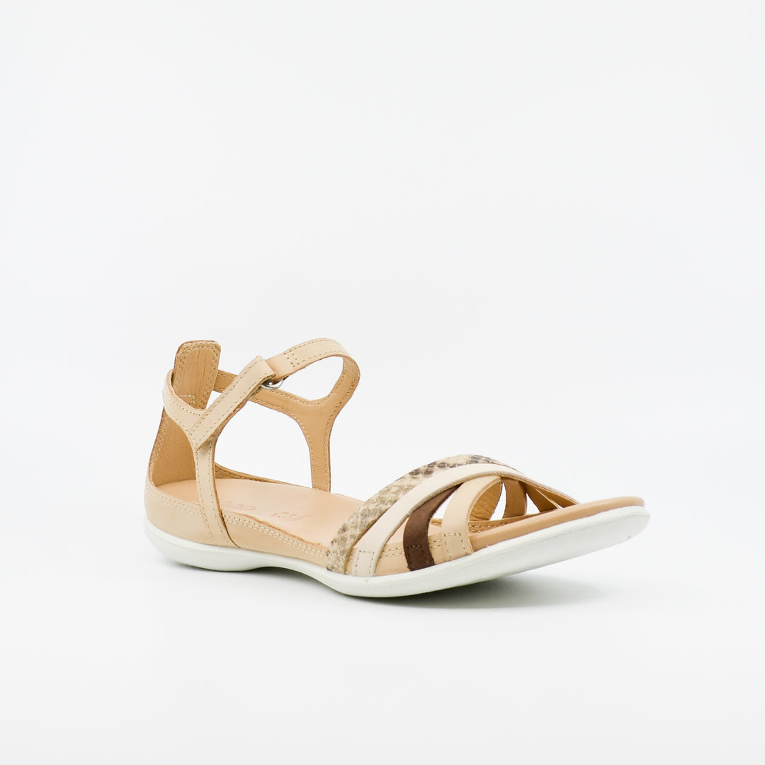 ECCO Flash powder & python
