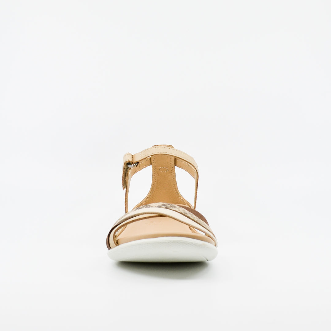 ECCO Flash powder & python