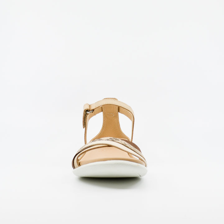 ECCO Flash powder & python