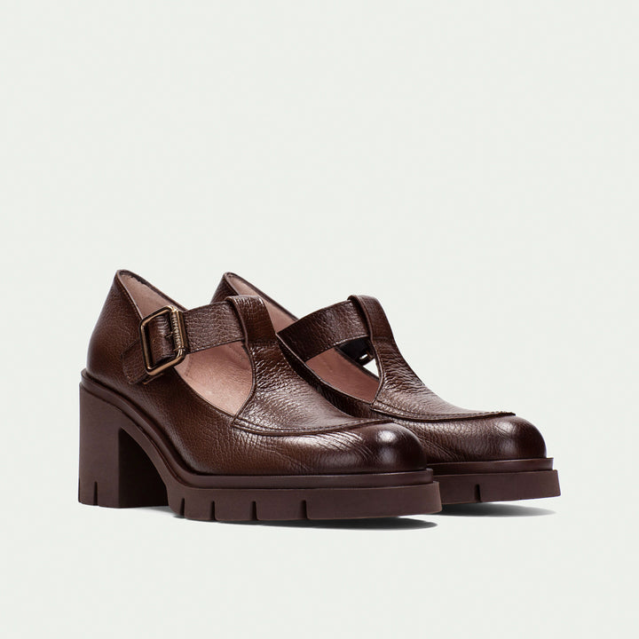 Hispanitas Zurich avellana