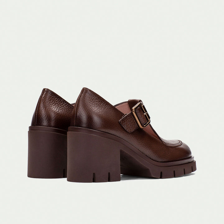 Hispanitas Zurich avellana